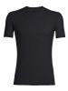 Anatomica SS Crewe Herren 