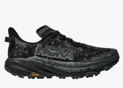 W Speedgoat 6 GTX Laufschuhe Damen 