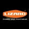 Lizard